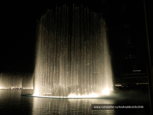 photo 1555009