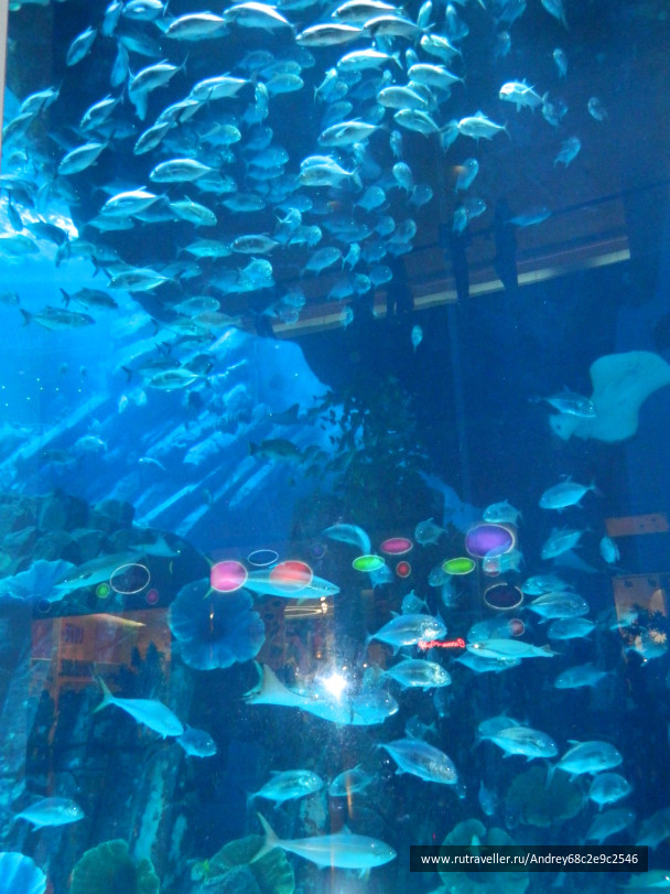 photo 1555013