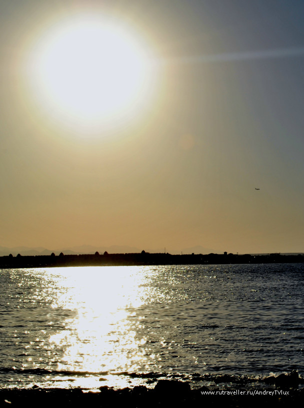 photo 115846