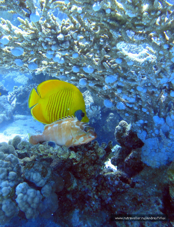 photo 132007