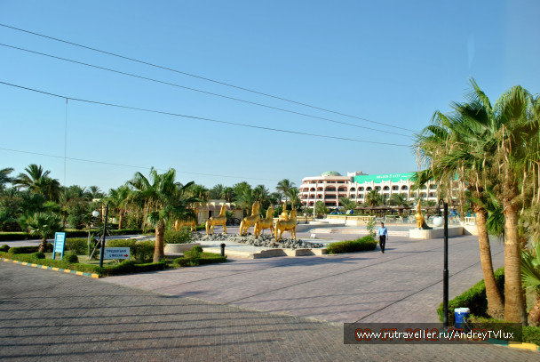 photo 246593