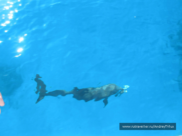photo 68628