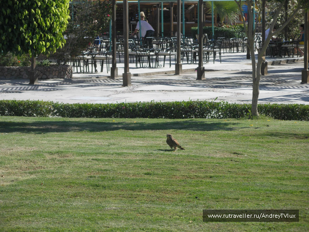 photo 70151
