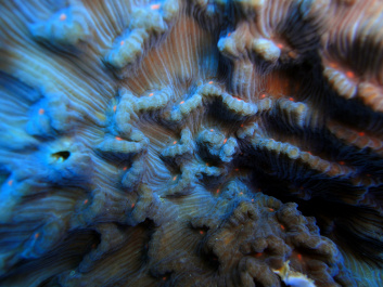 photo 286513