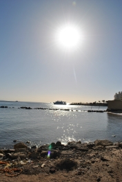 photo 286587