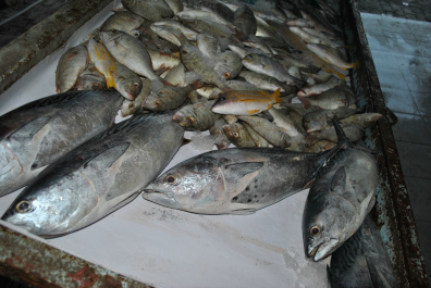 photo 307473