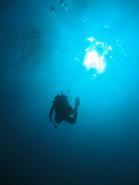 photo 317357