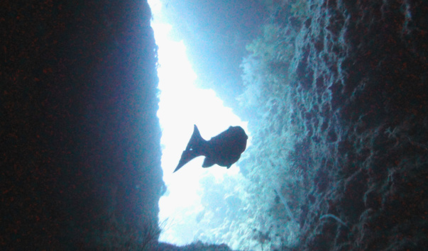 DSC02770-1