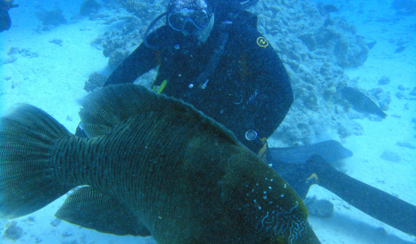 DSC02465-1