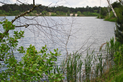 photo 393812