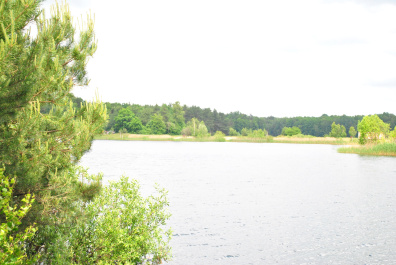 photo 393815
