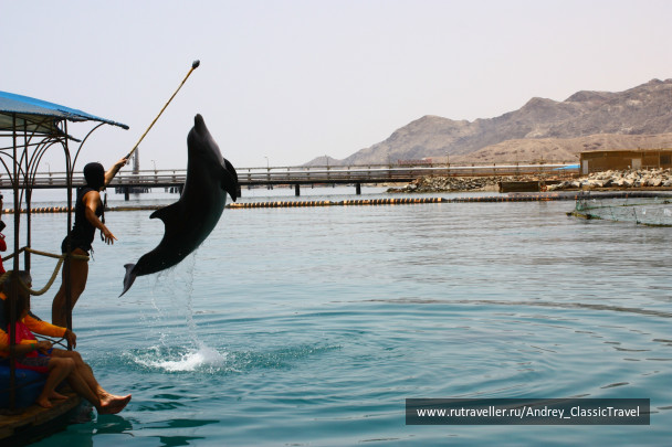 photo 443440