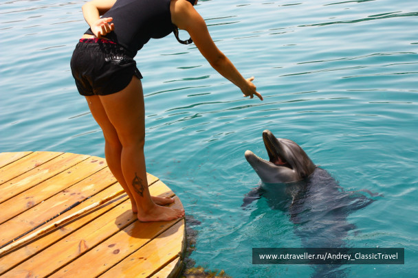 photo 443441