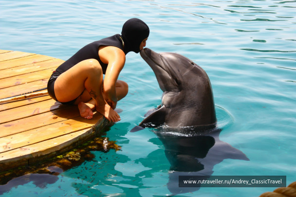 photo 443442