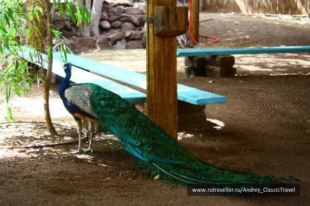 photo 443444