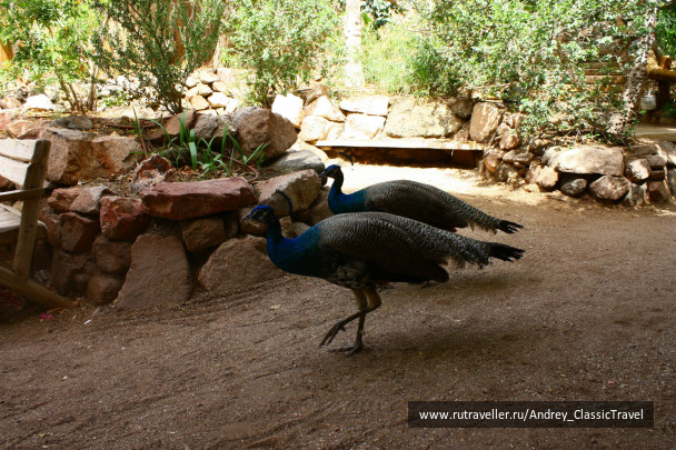 photo 443445