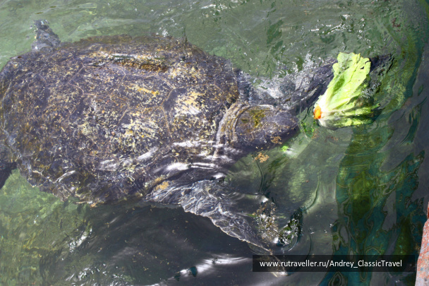 photo 443454