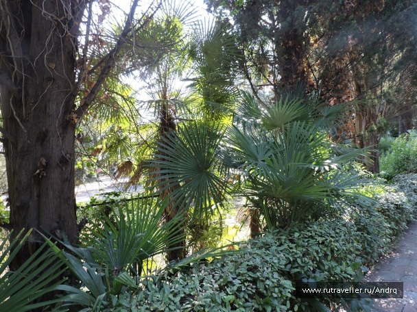 photo 1149866