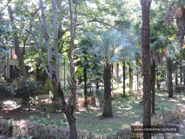 photo 1149867