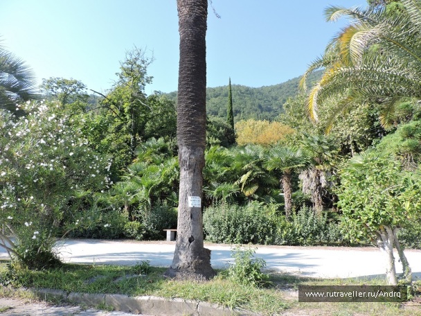 photo 1149876