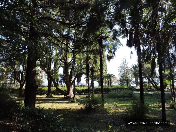 photo 1149879