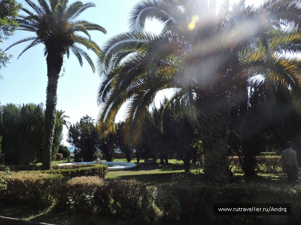 photo 1149891