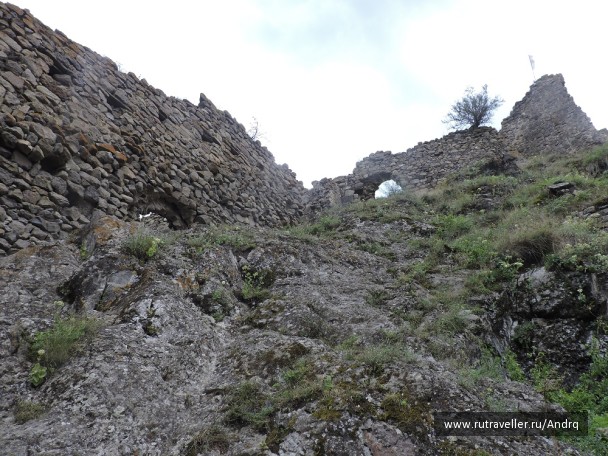 photo 1150391