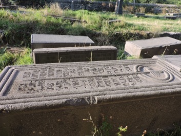 photo 1150755