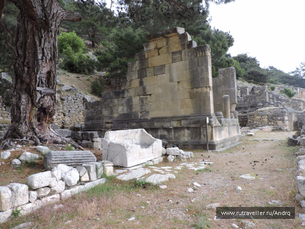 photo 1577446