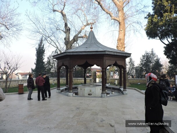 photo 1723599