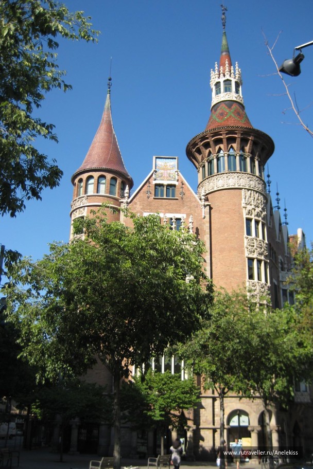 photo 20145