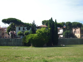 photo 799821