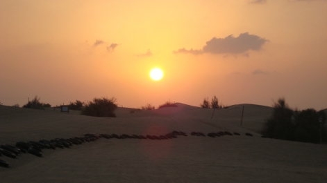 photo 799795