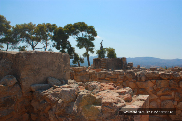 photo 1375734