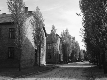 photo 1514462
