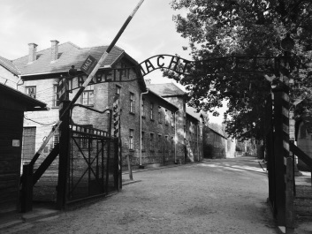 photo 1514463