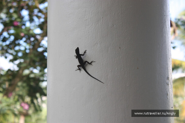 photo 24977