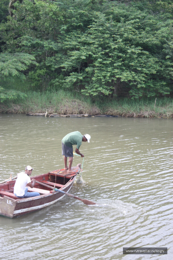 photo 24979