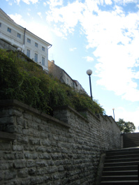 photo 351924