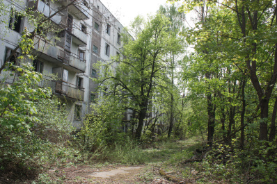 photo 359862
