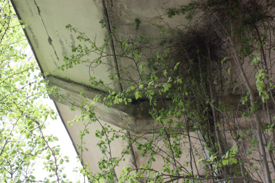 photo 359869