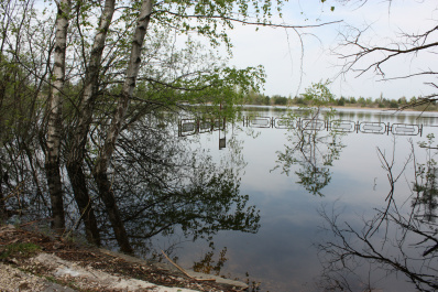 photo 359873