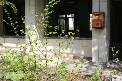 photo 359891