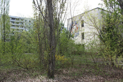 photo 359893