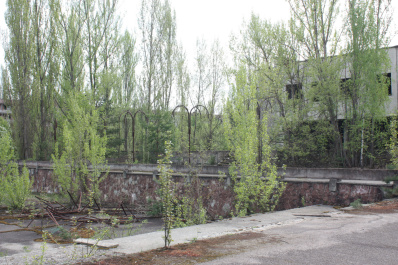 photo 359943