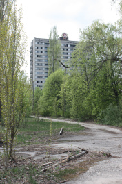photo 359956