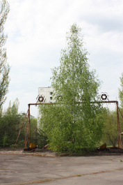 photo 359962