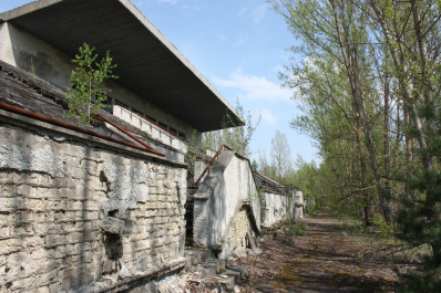 photo 359971