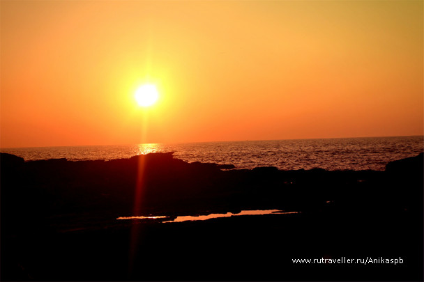 photo 256115