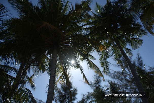 photo 674950